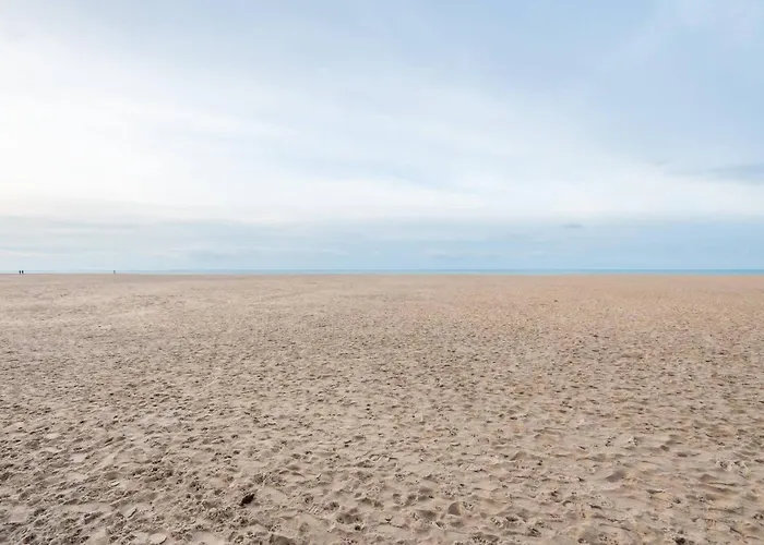 New Flat On A Top-level Location For 6 Ostende